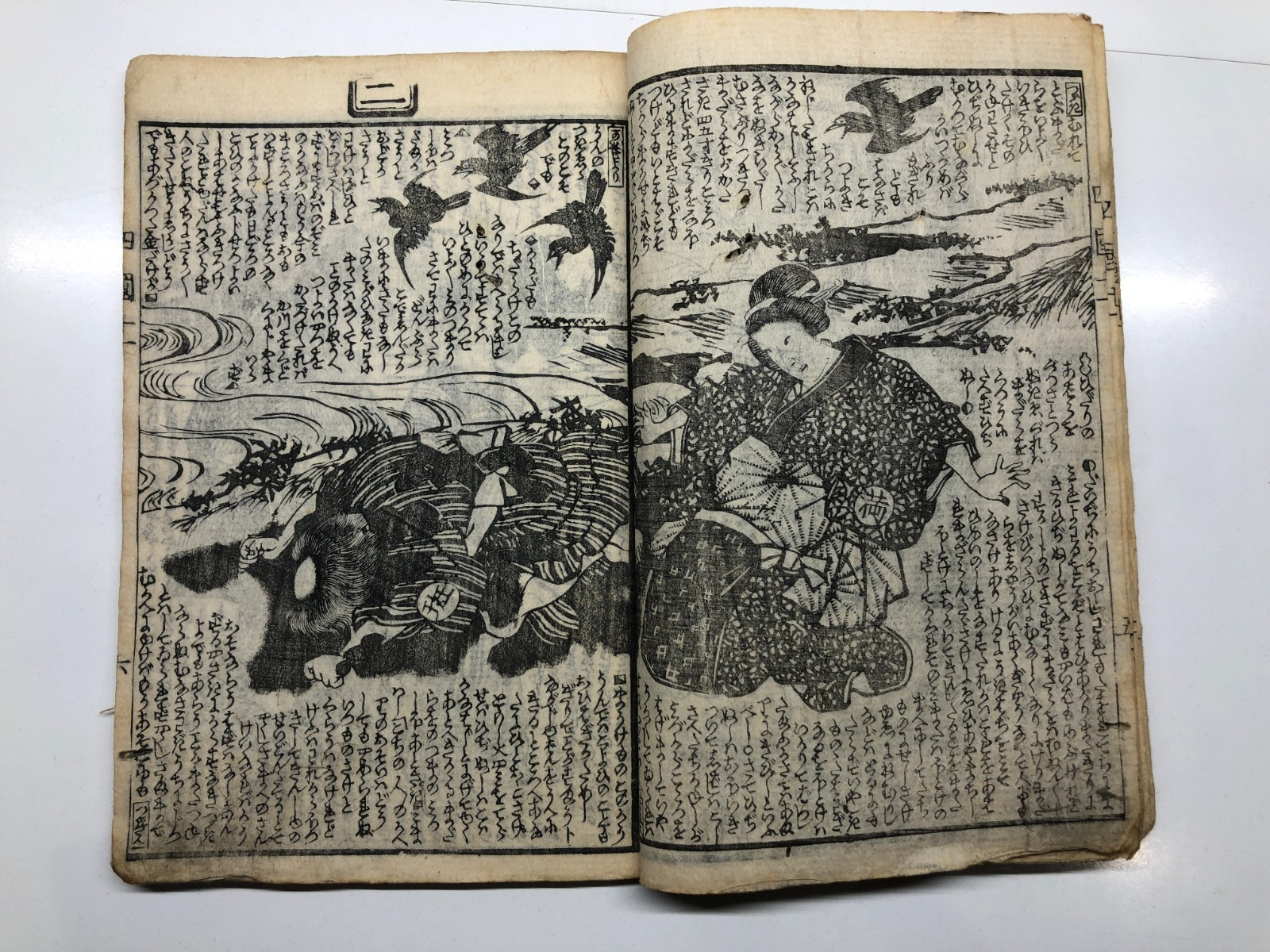 Image #12