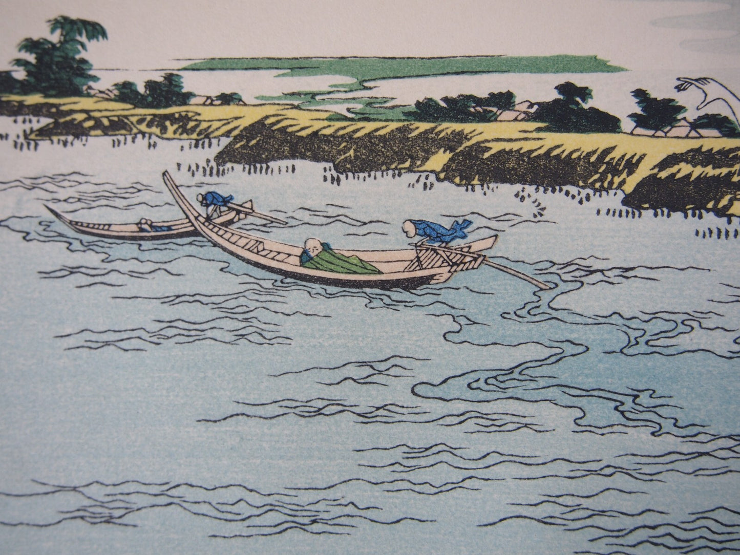 Image #7