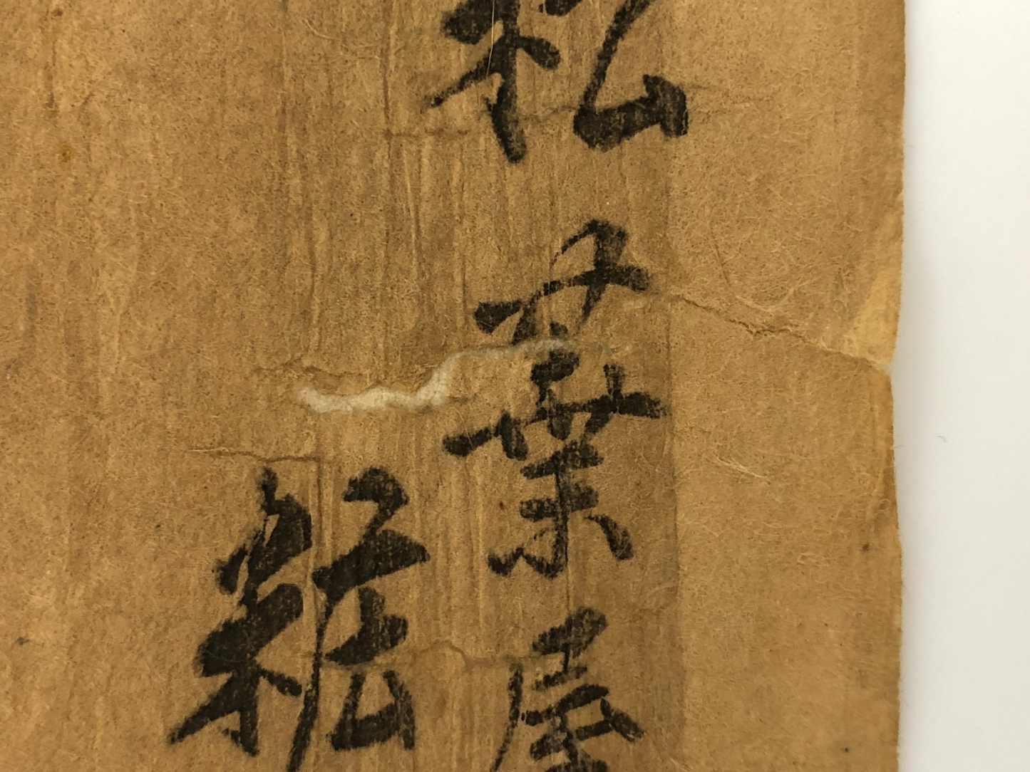 Image #8