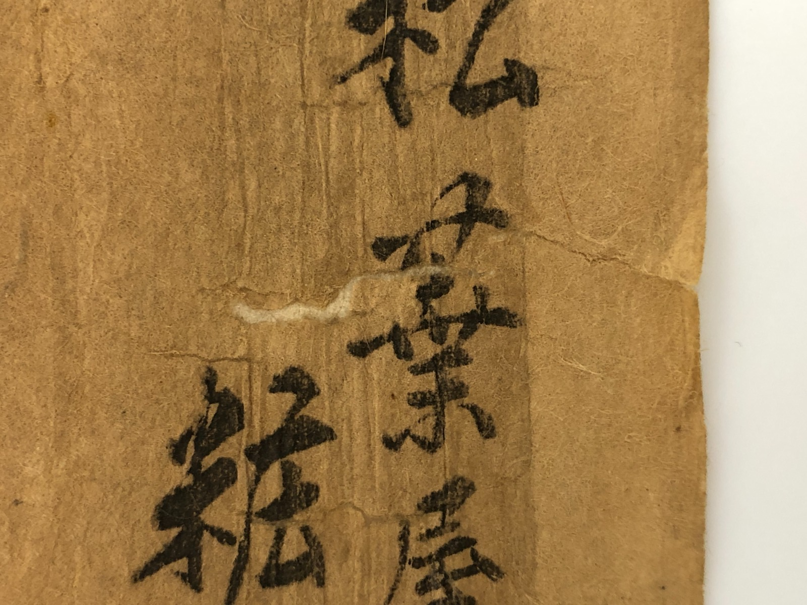 Image #8