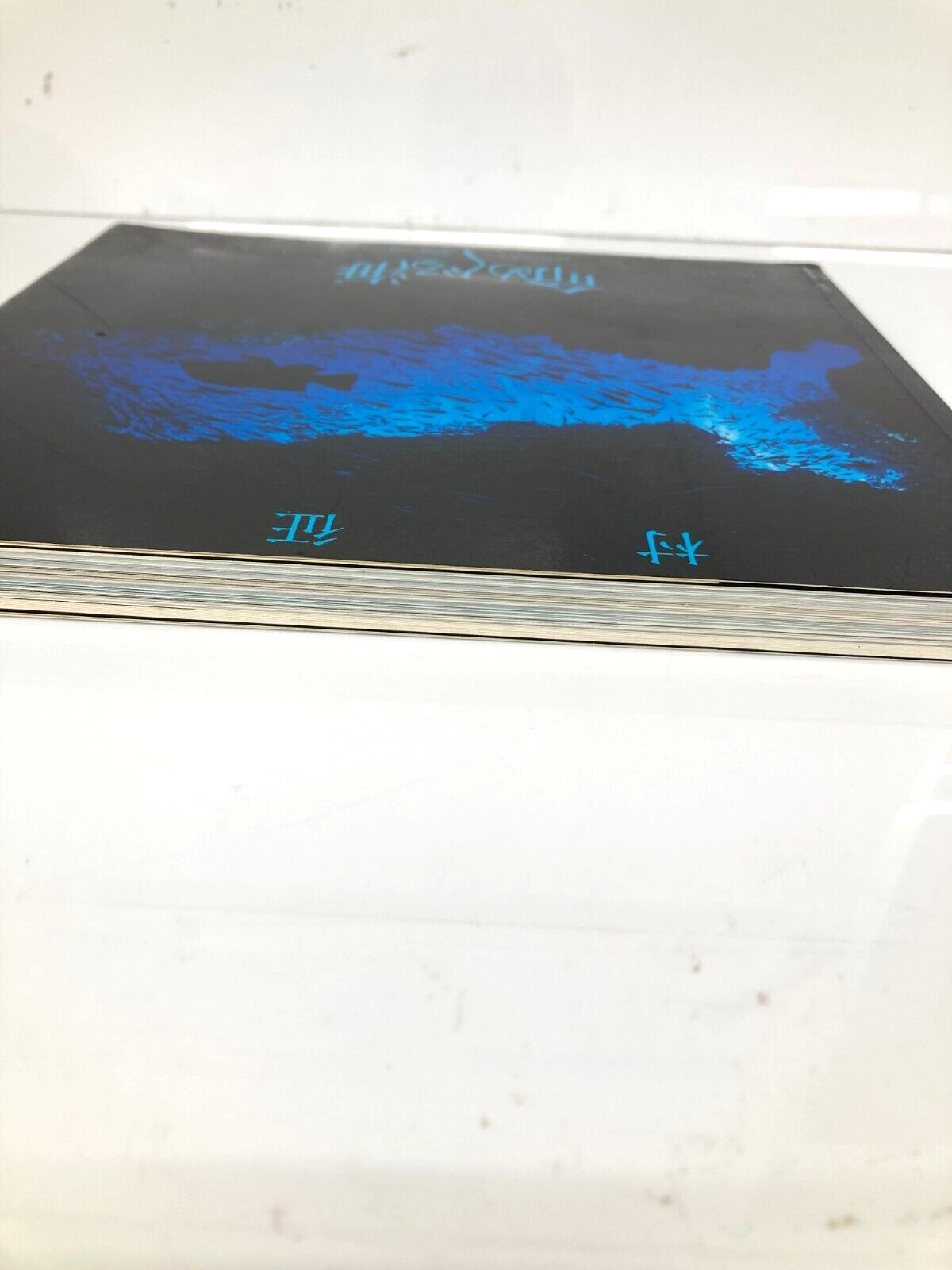 Image #2