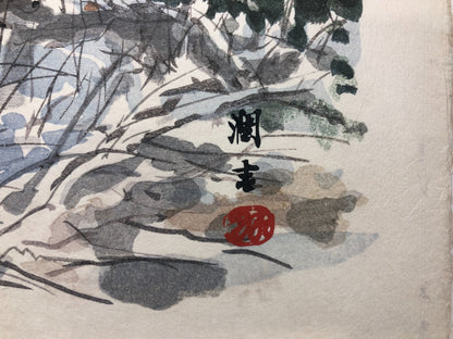 Image #12
