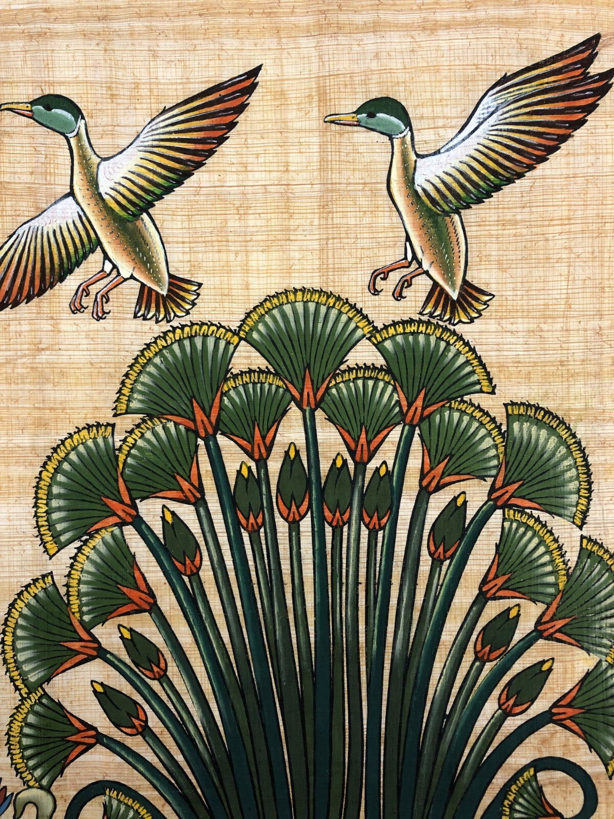 Image #17
