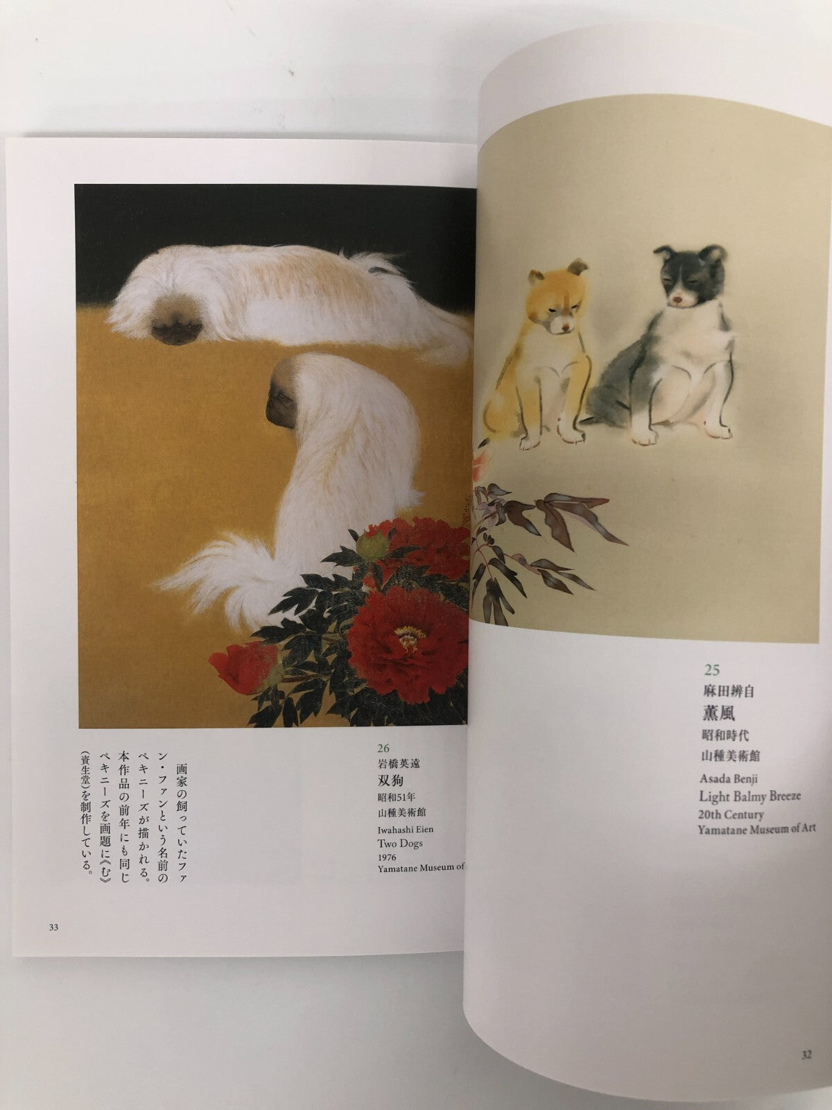 Image #5