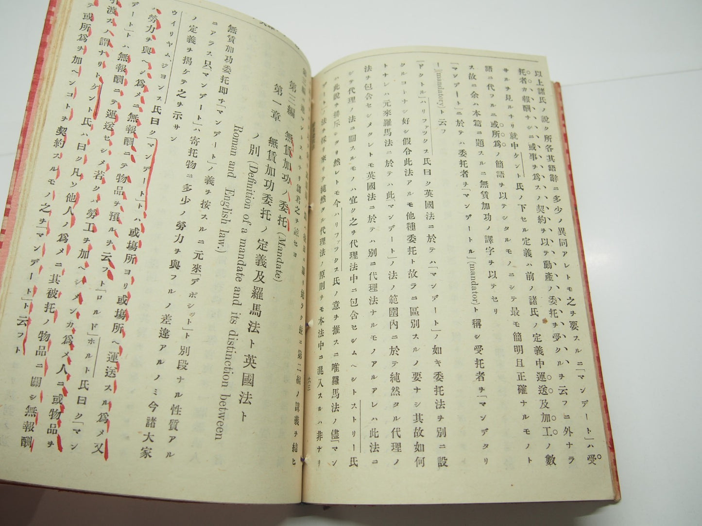 Image #13