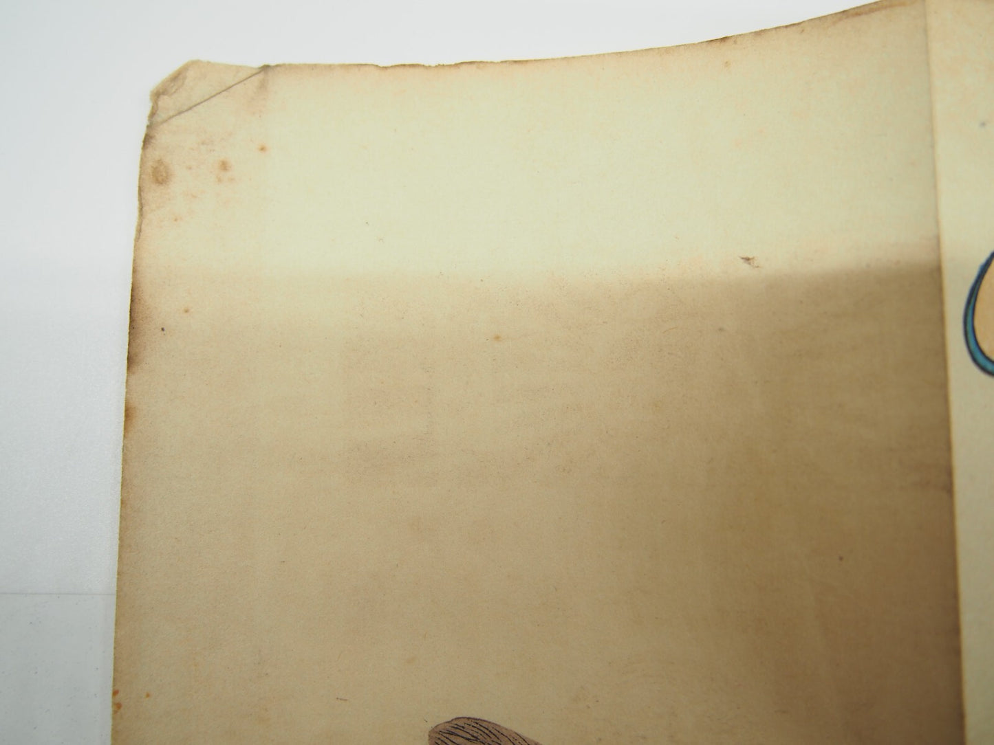 Image #9