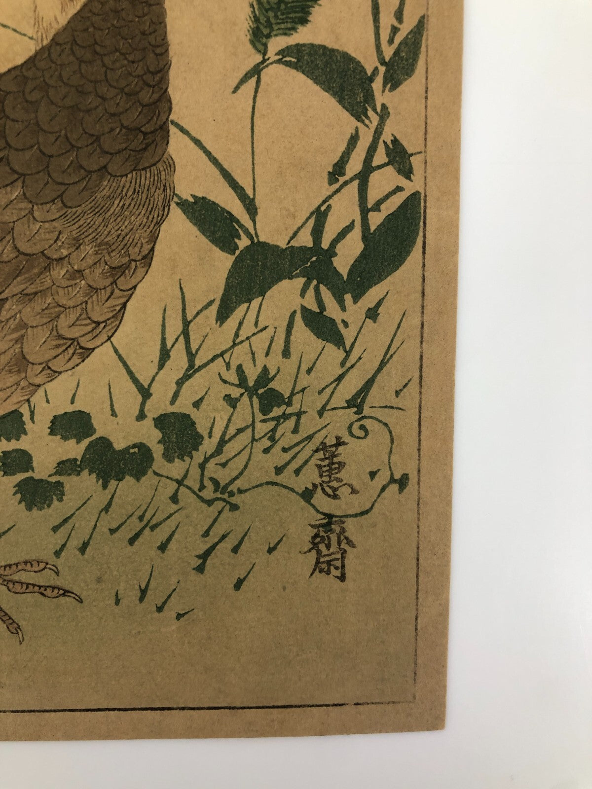 Image #5