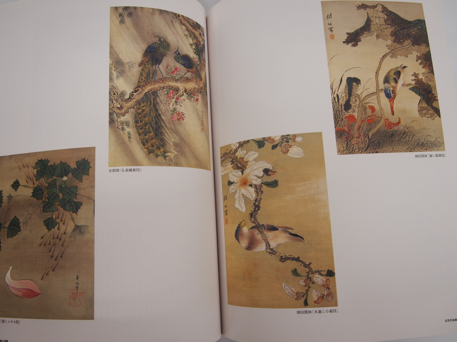 Image #5