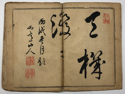 Image #7