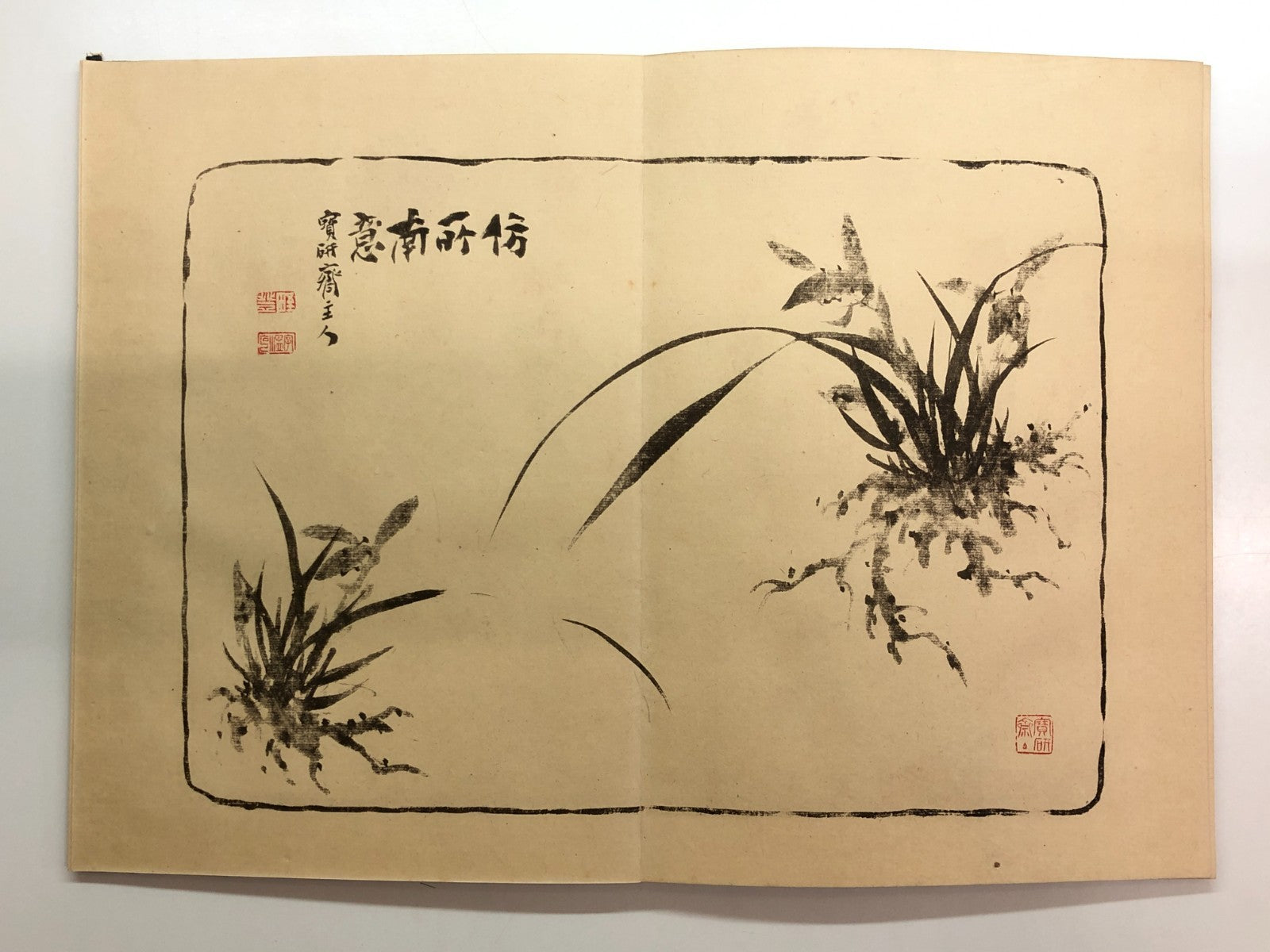 Image #10