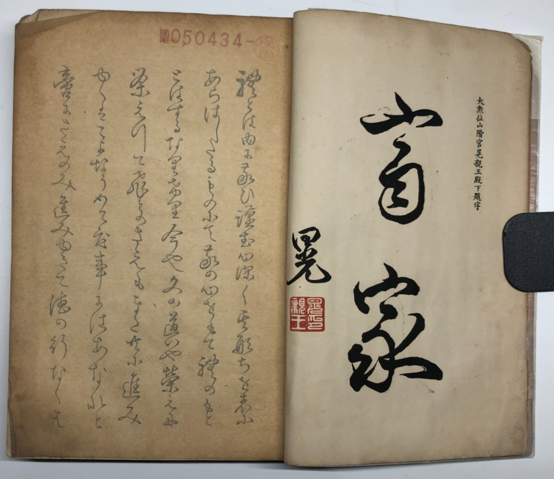 Image #13