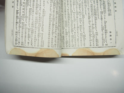Image #13