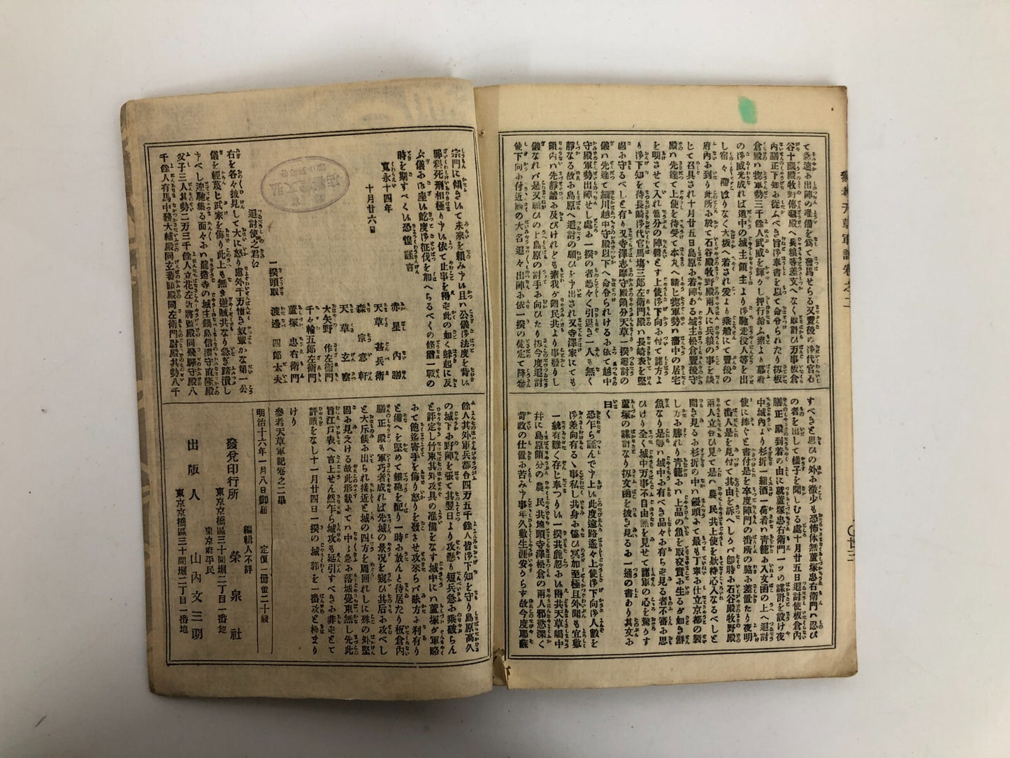 Image #6