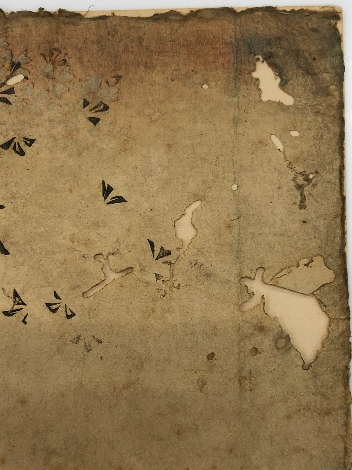 Image #14