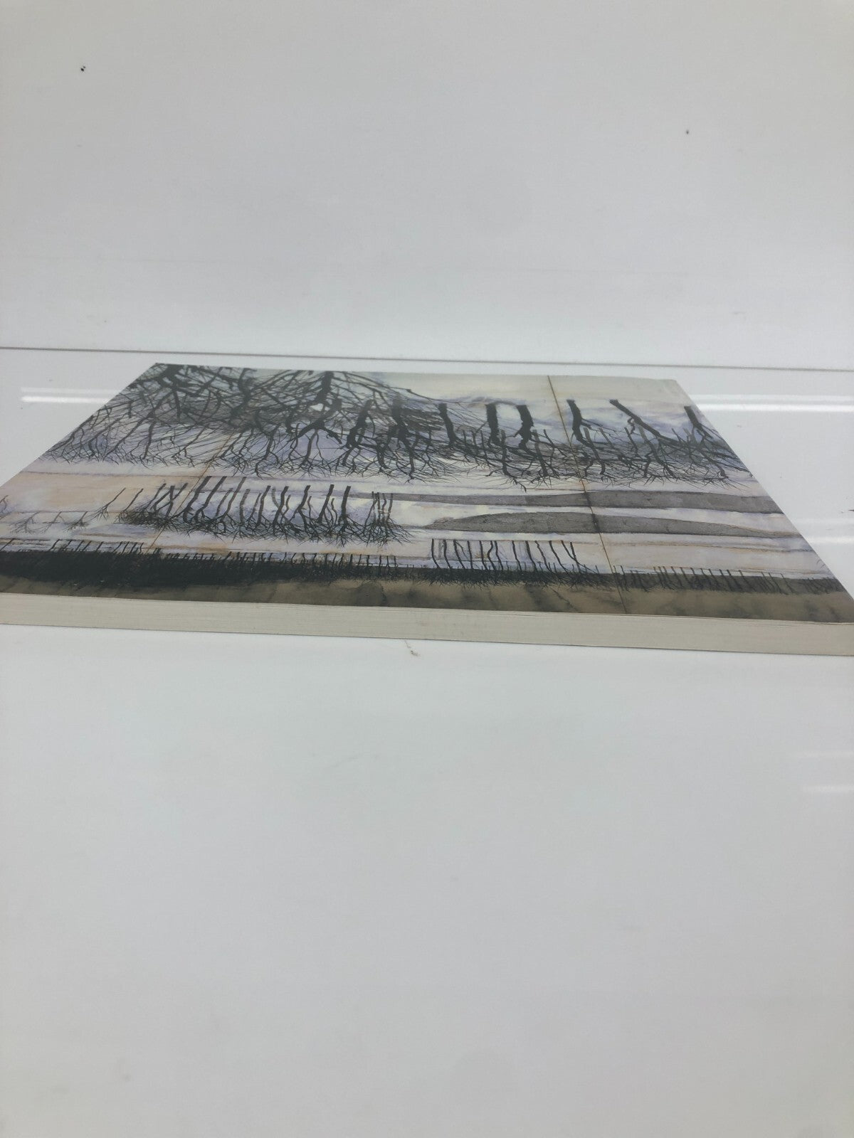Image #2