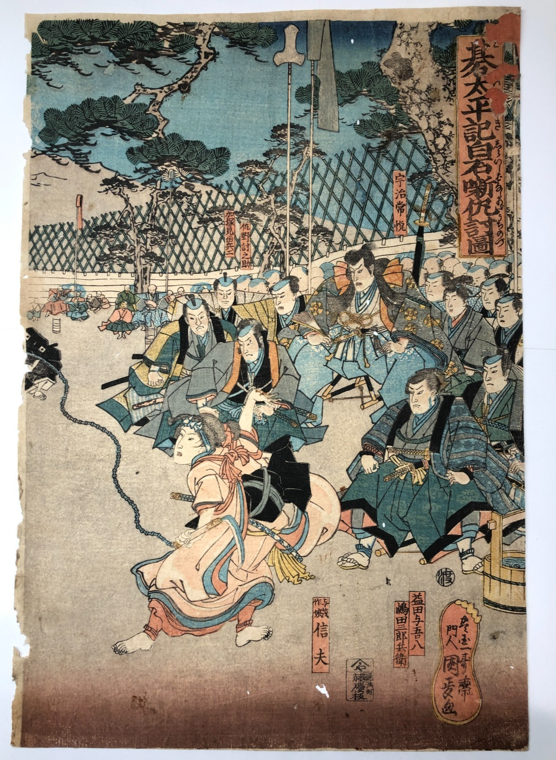 Image #5