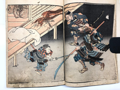 Image #17