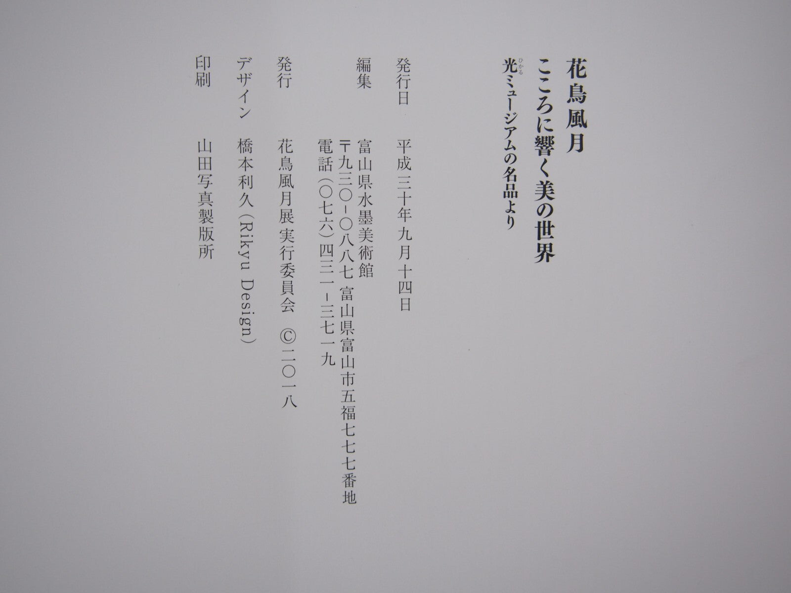 Image #6