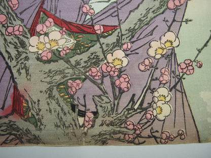 Image #7