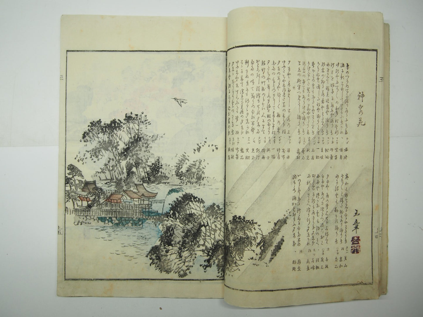 Image #9