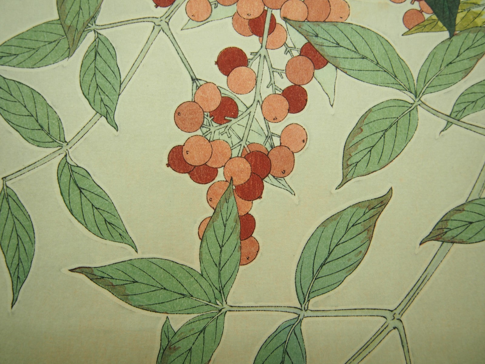 Image #9
