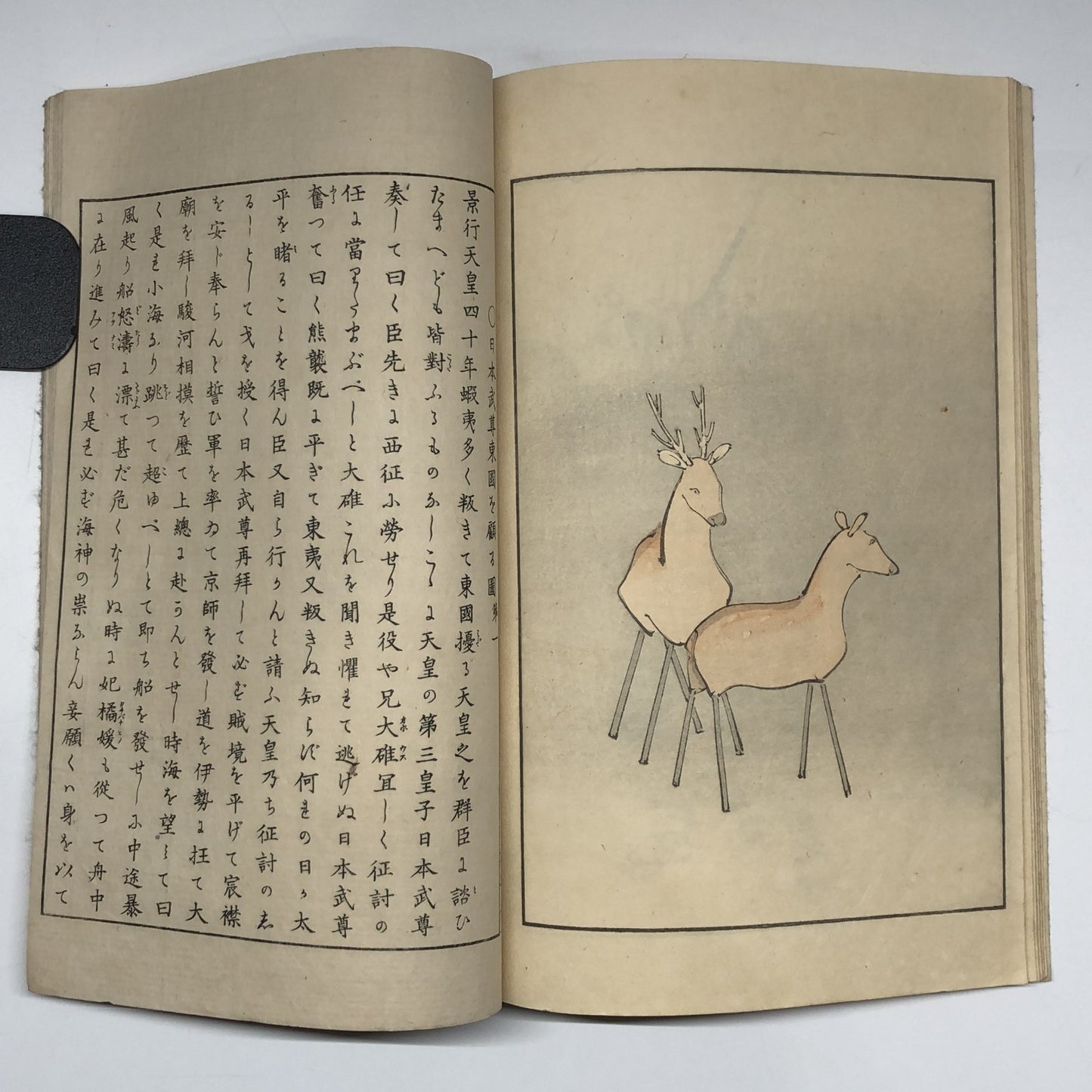 Image #16
