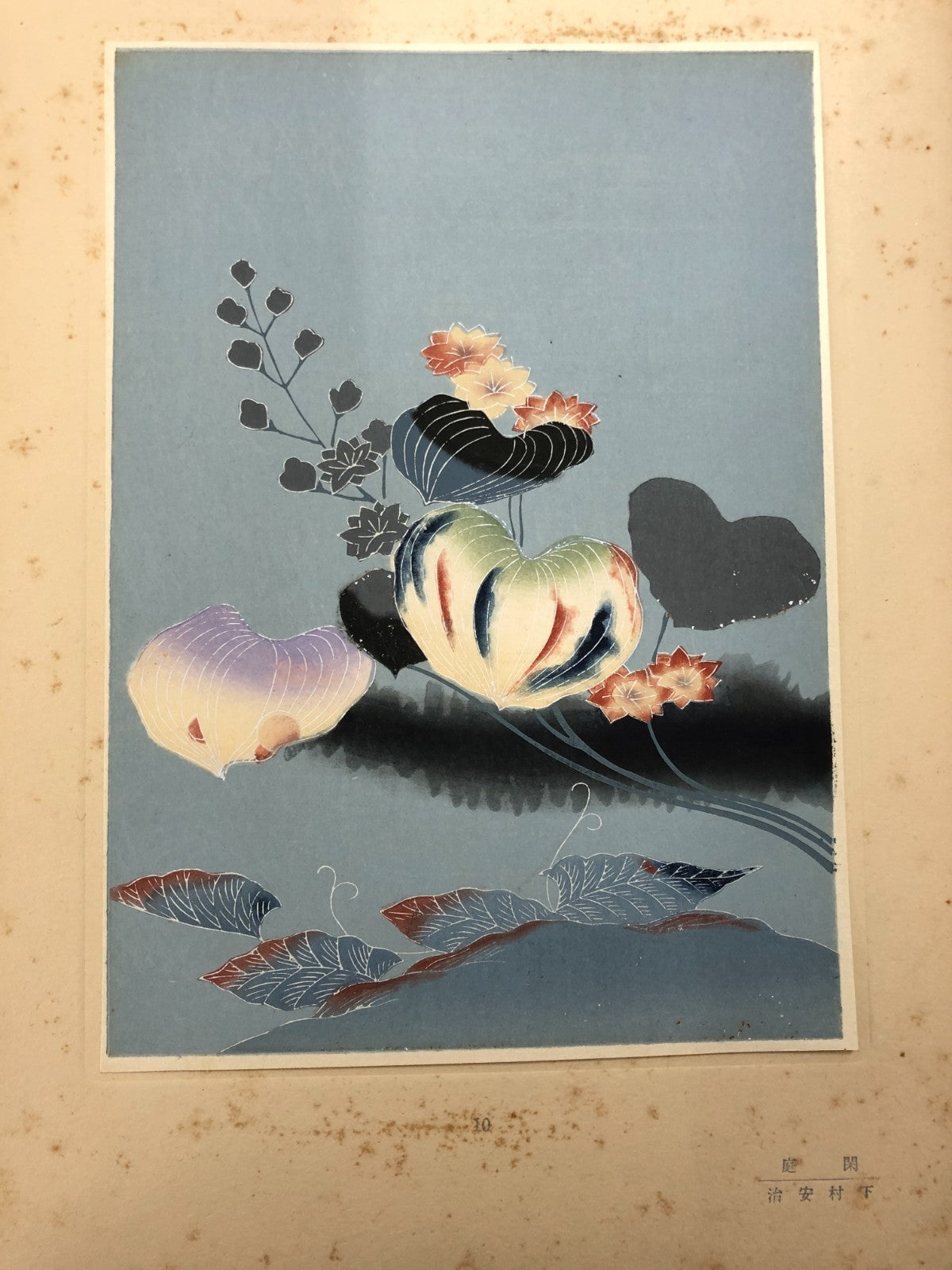 Image #6