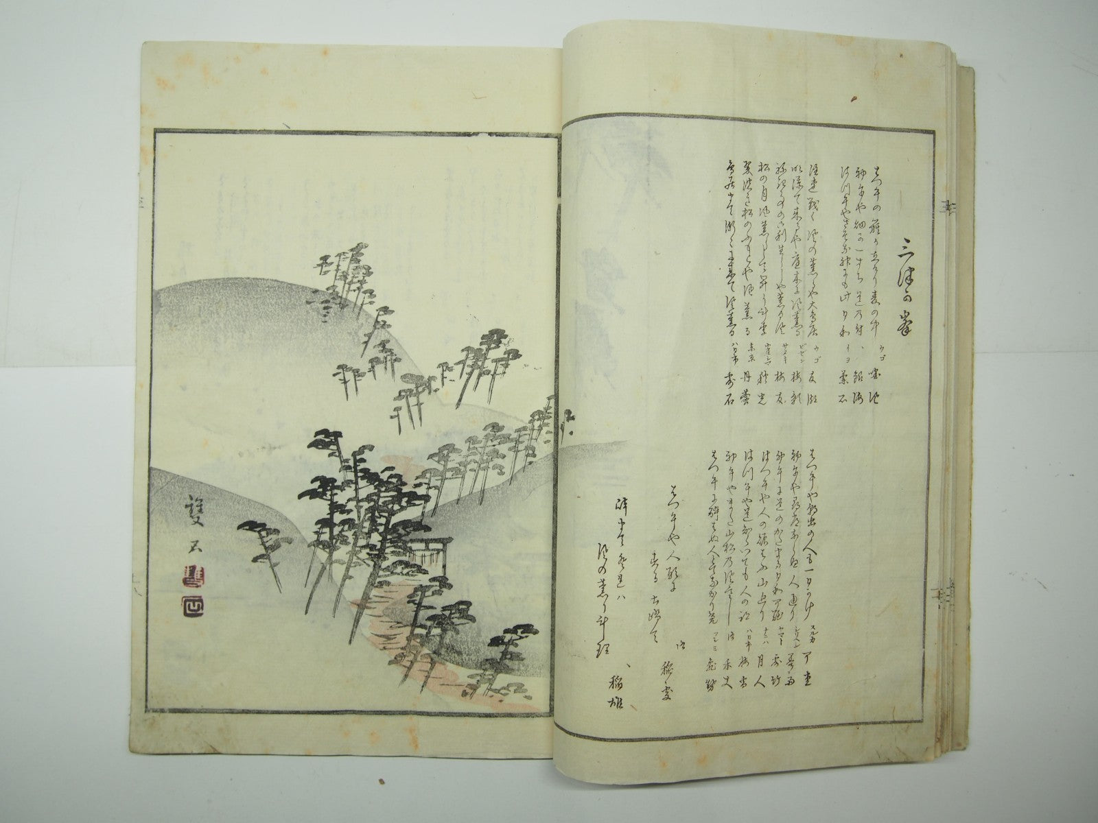 Image #12