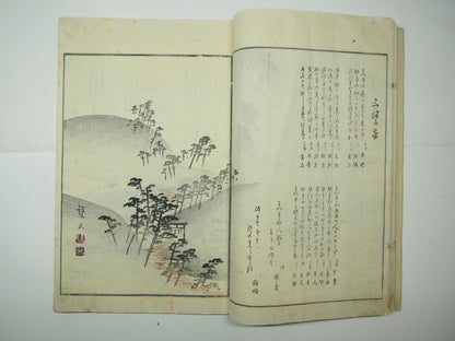 Image #12