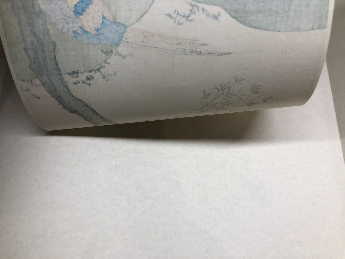 Image #7
