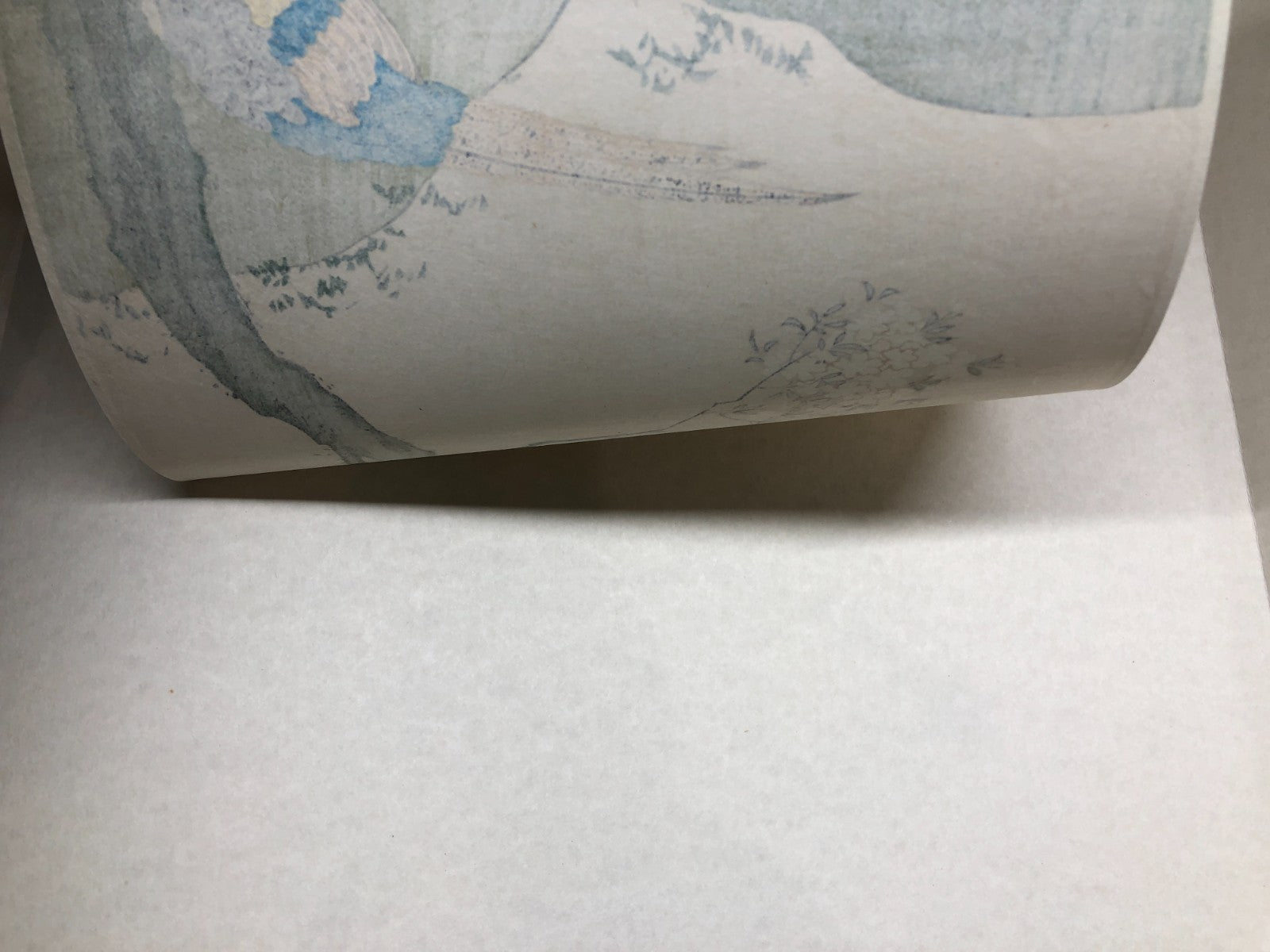 Image #7