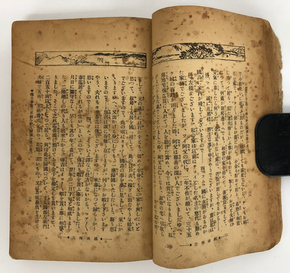 Image #11