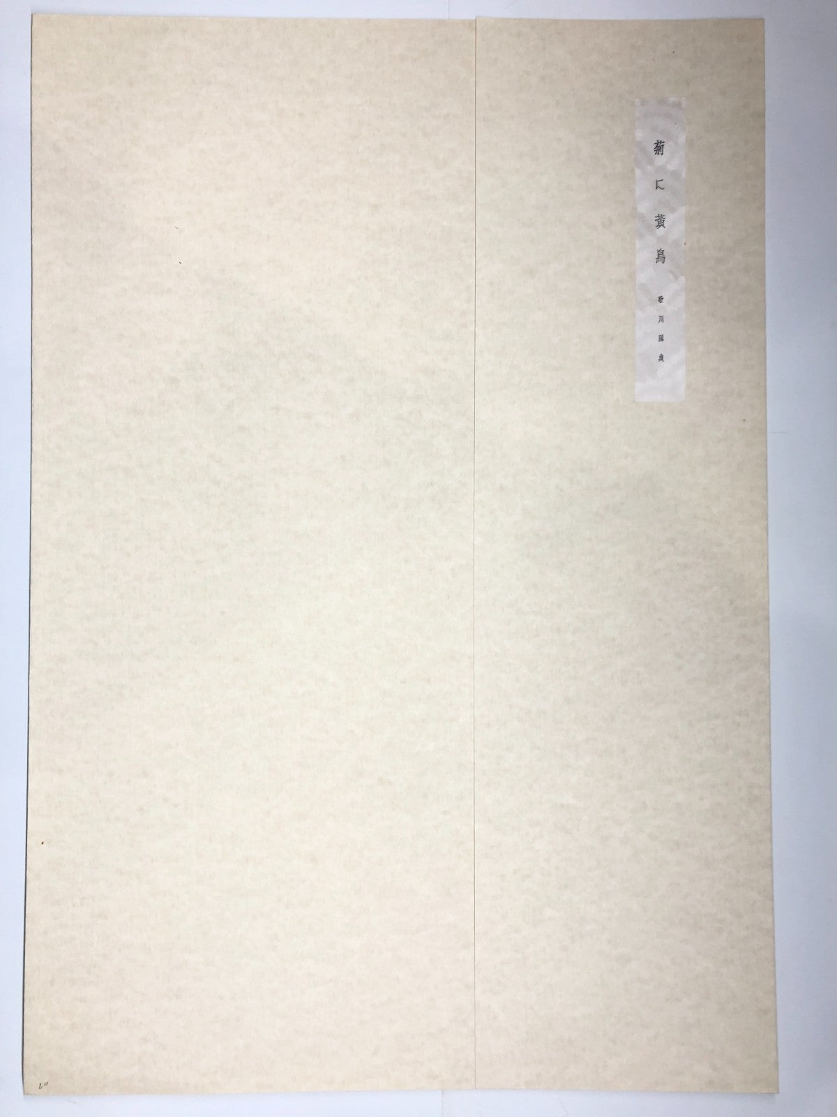 Image #2