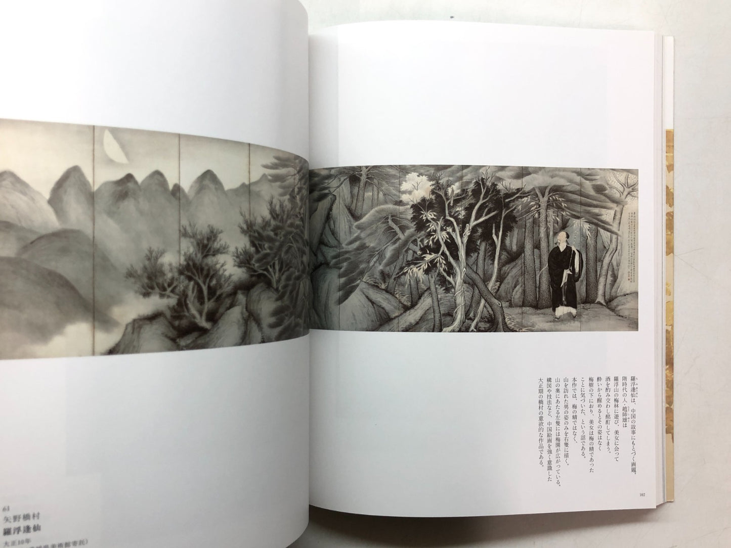 Image #11