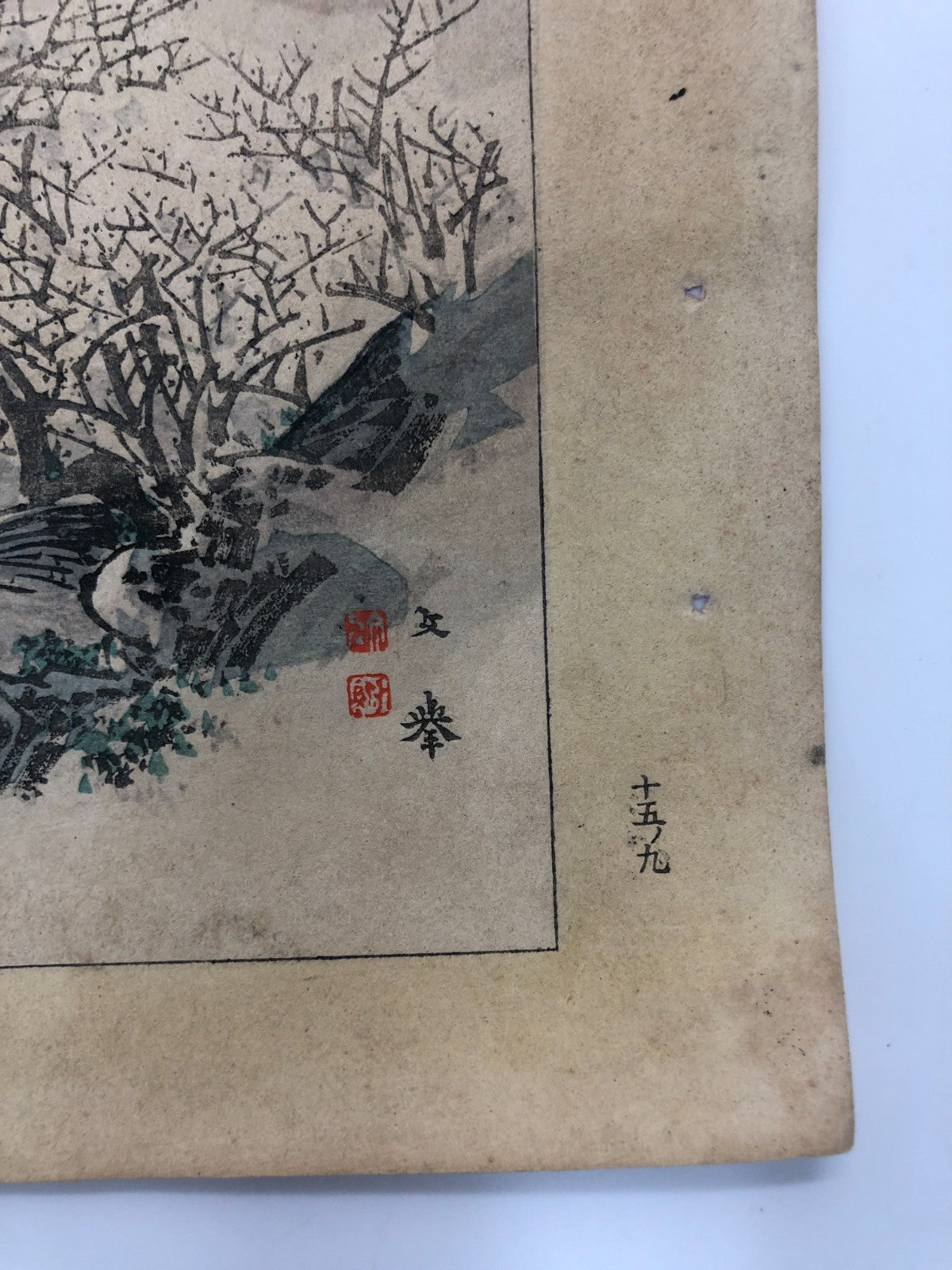 Image #7
