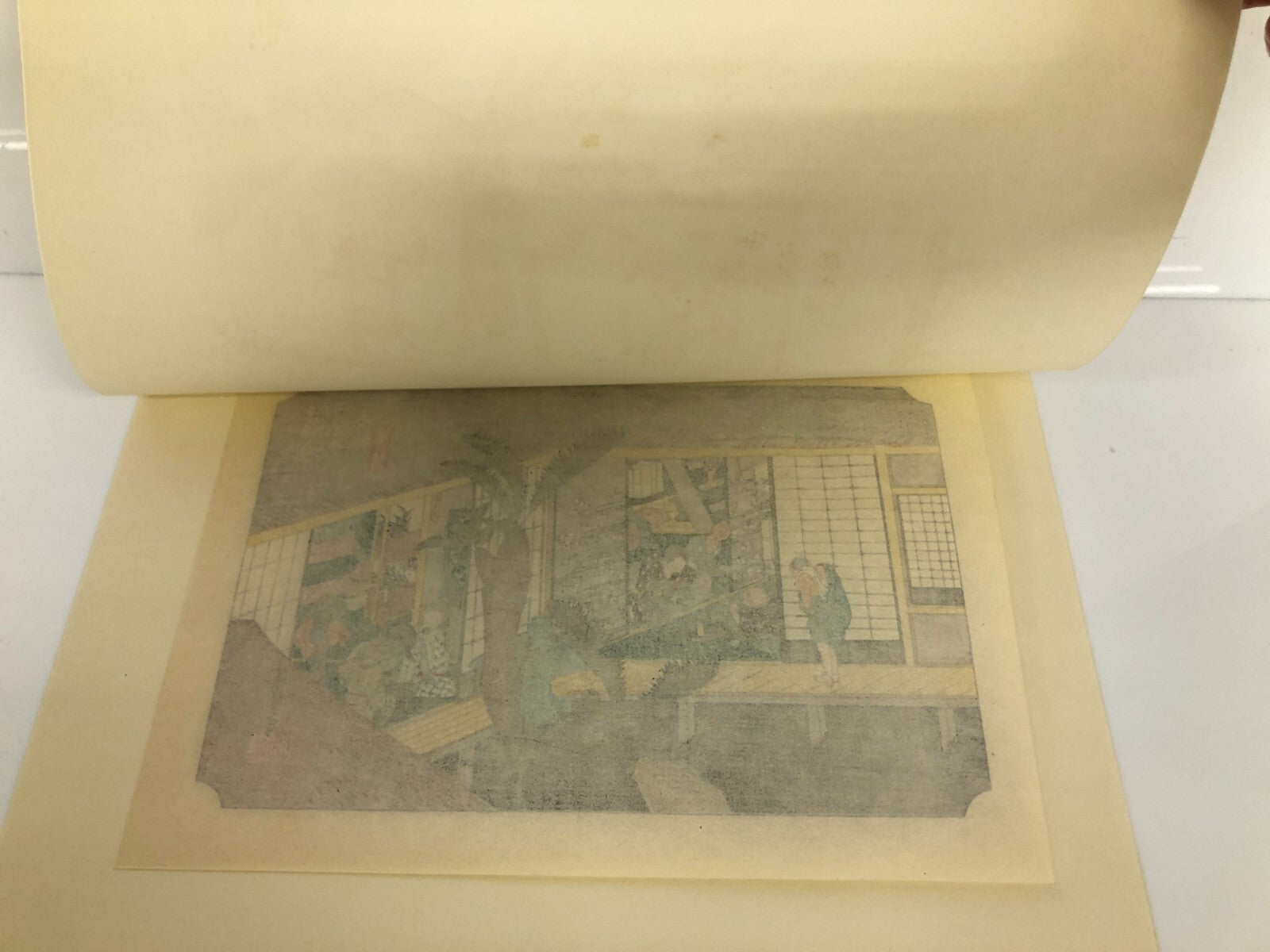 Image #6