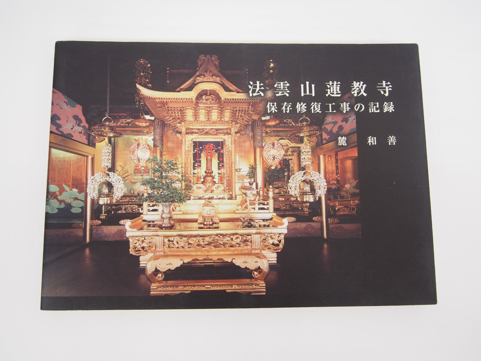 Image #1