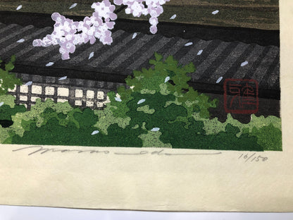 Image #5