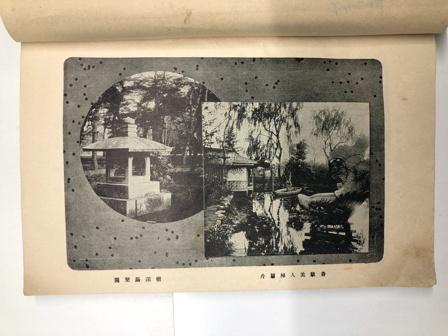 Image #10