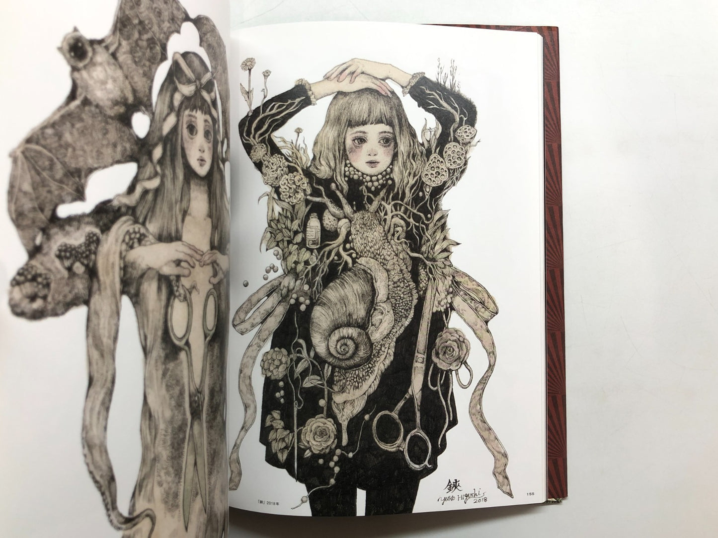 Image #12