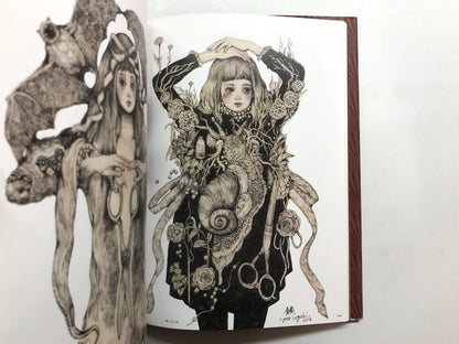 Image #12