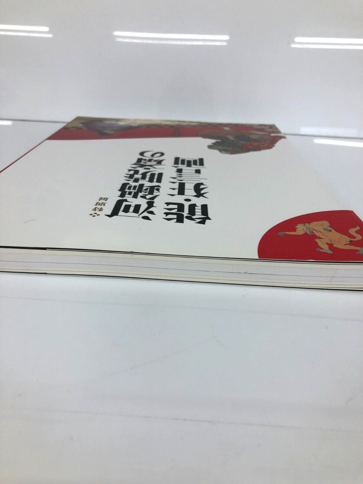 Image #2