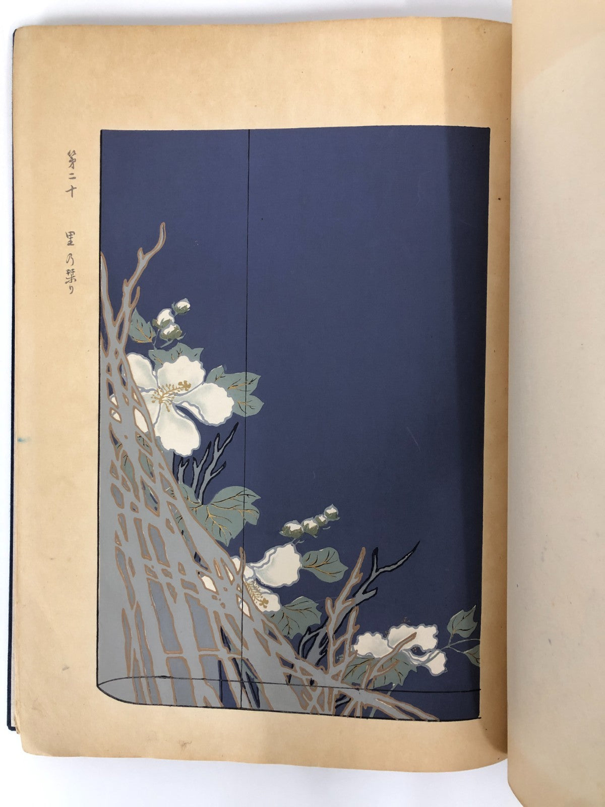 Image #17