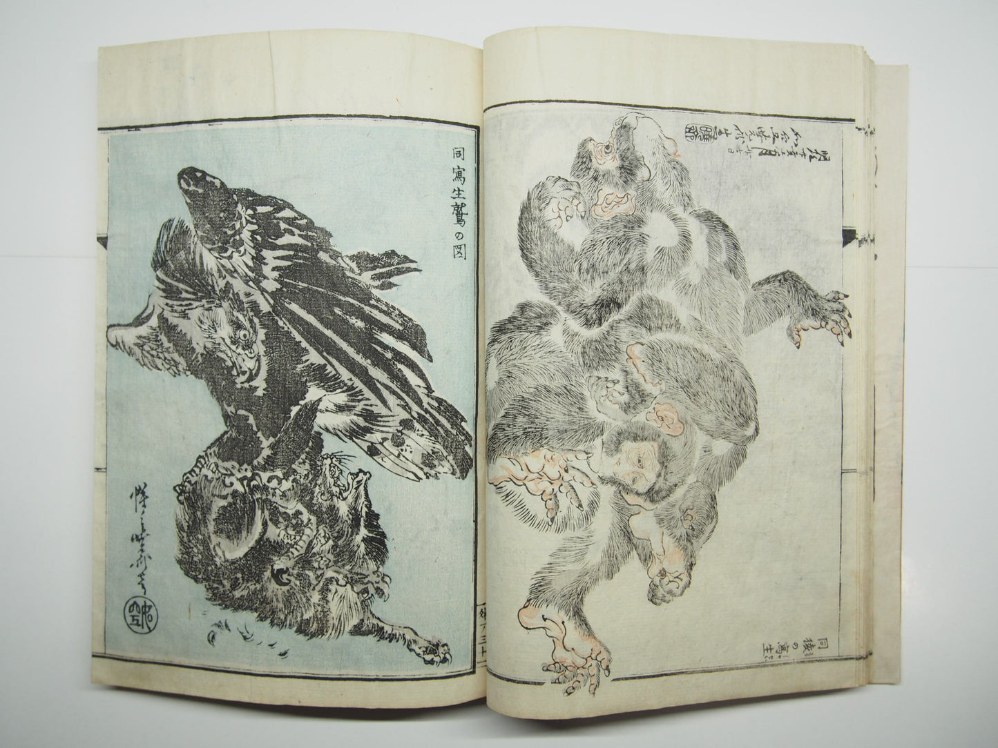 Image #13