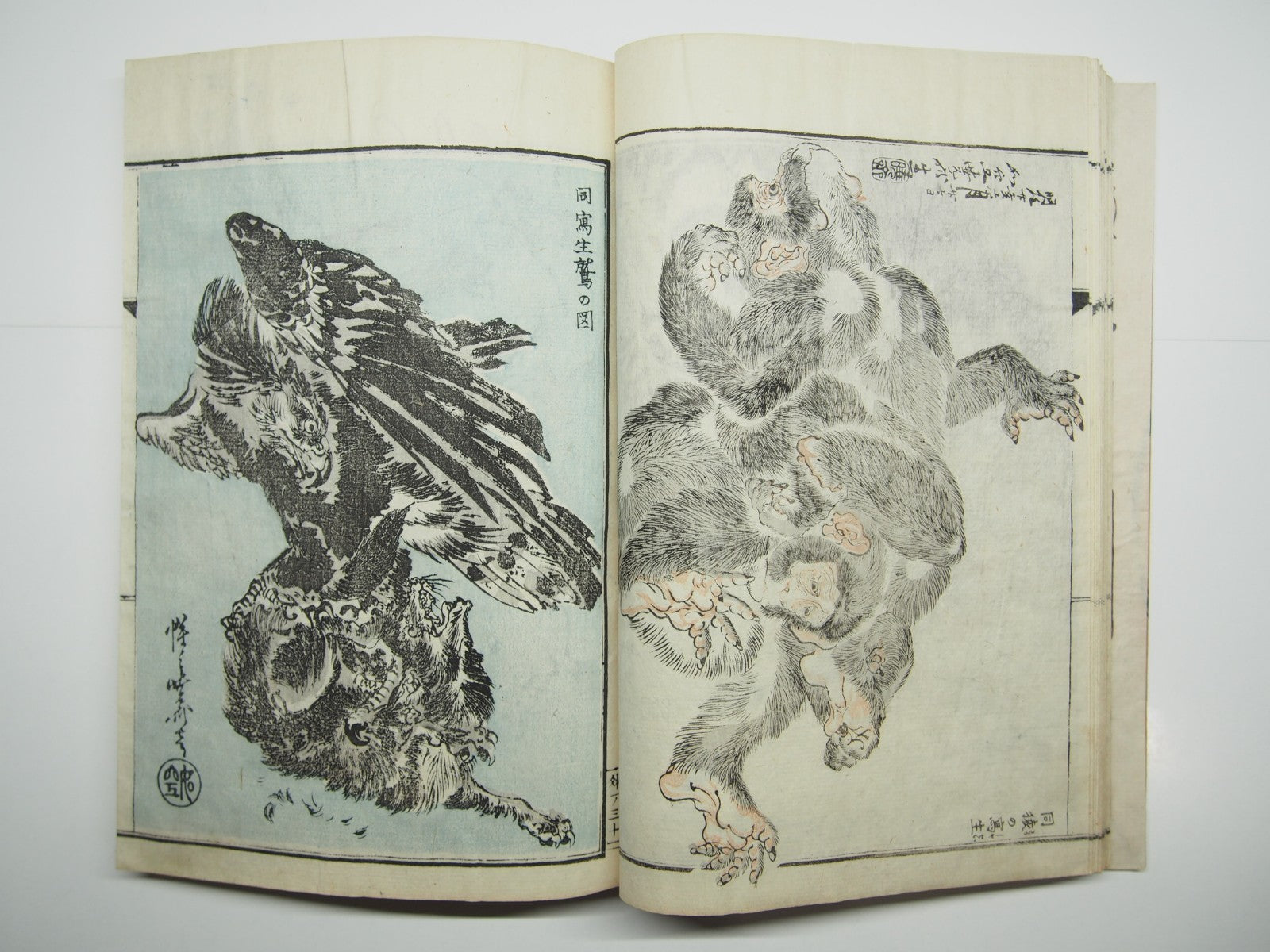 Image #13