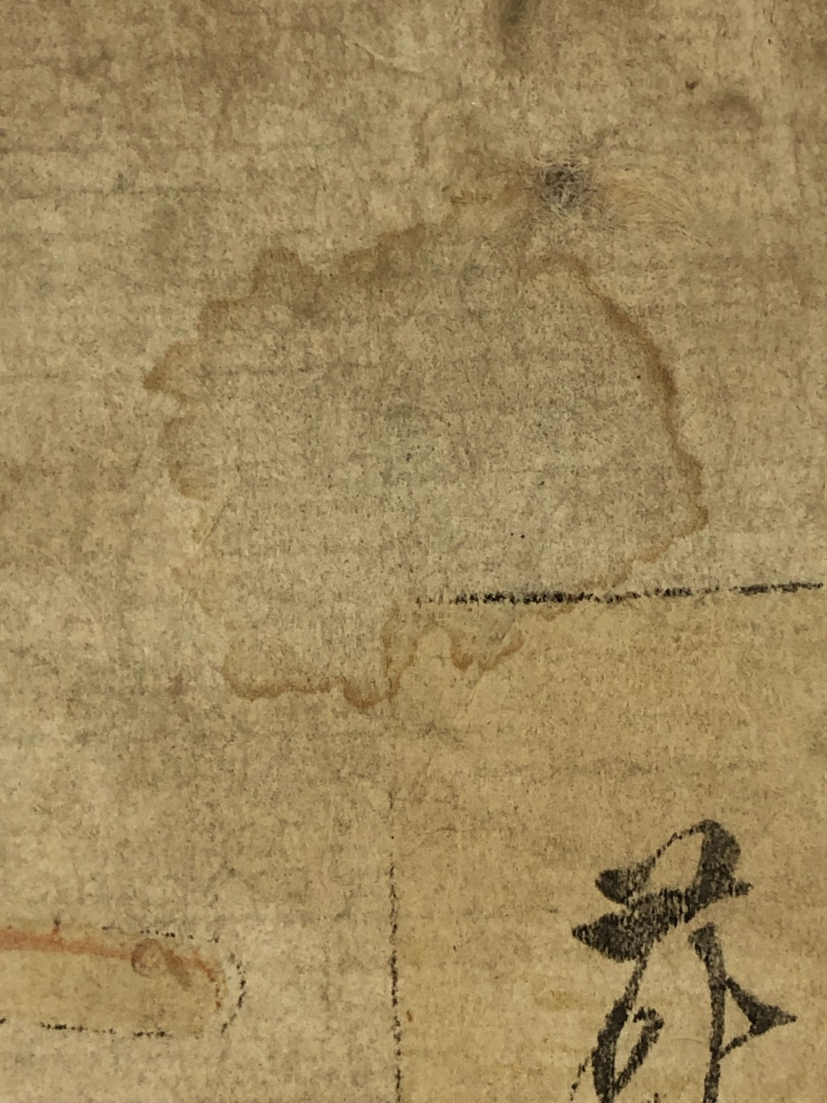 Image #12