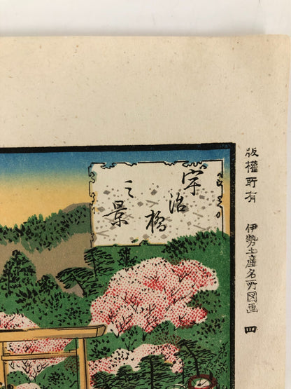 Image #12