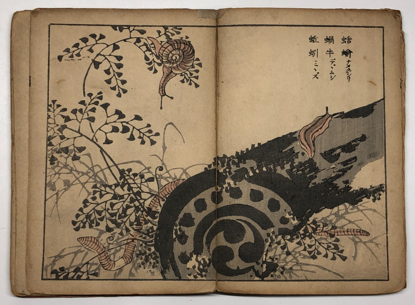 Image #12