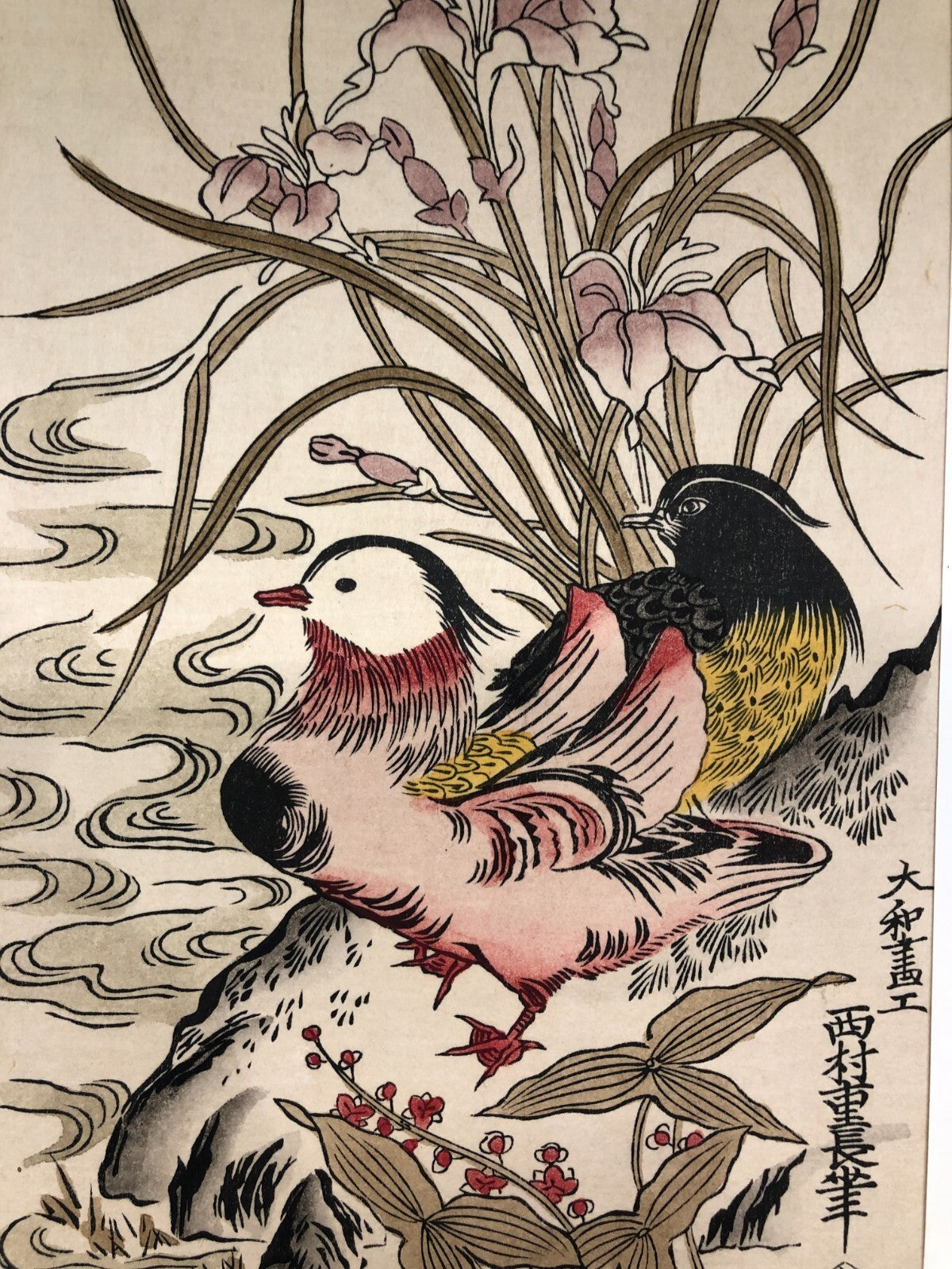 Image #5