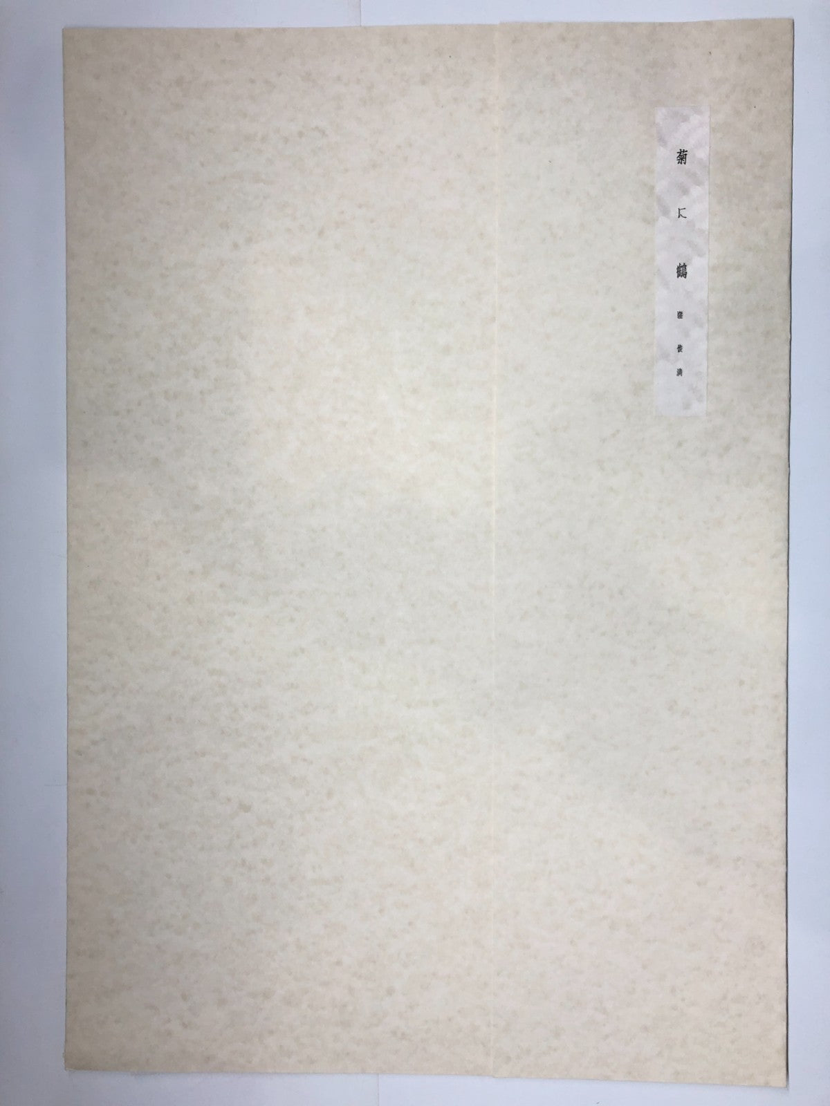 Image #6